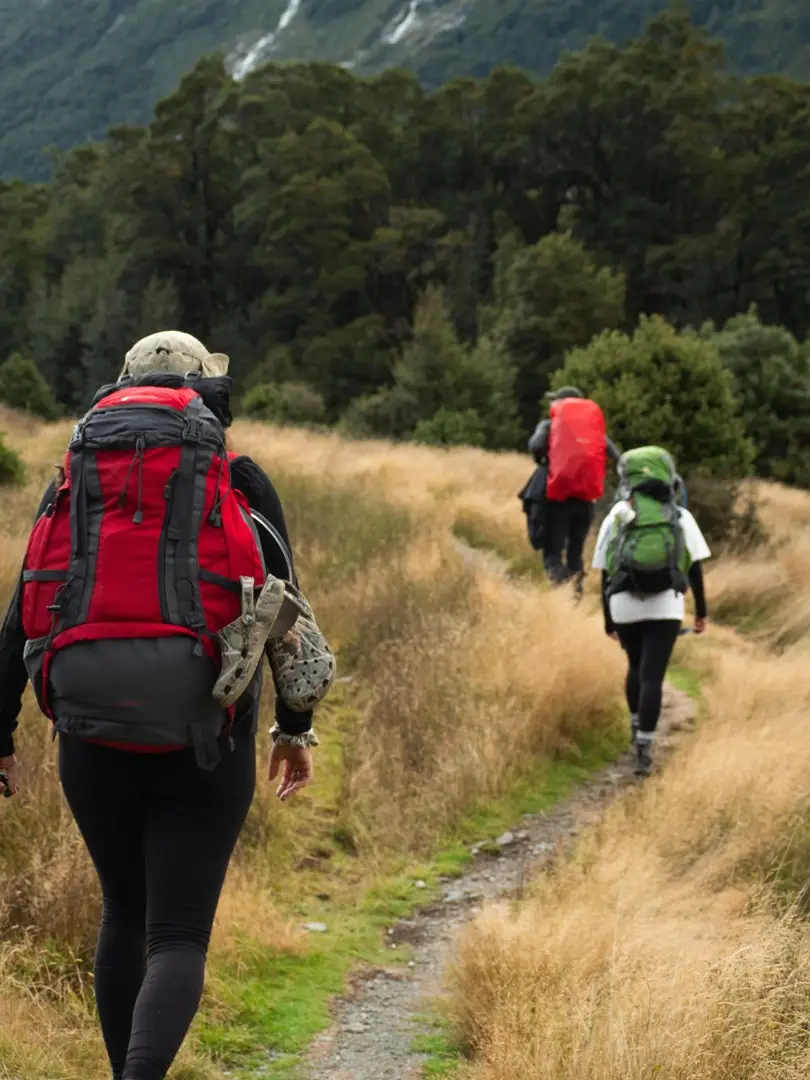 A hiker with a red pack walking a forest path