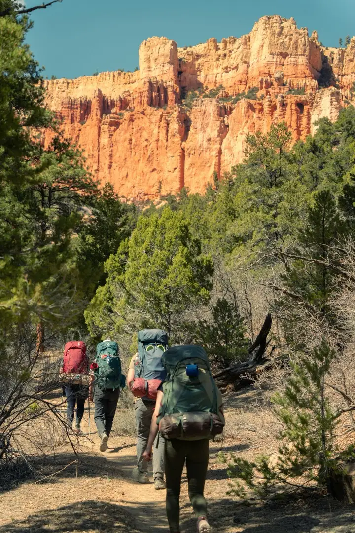 Three mountain bikers riding away through forest