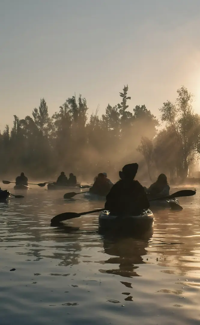 A group of kayakers on calm water at sunset